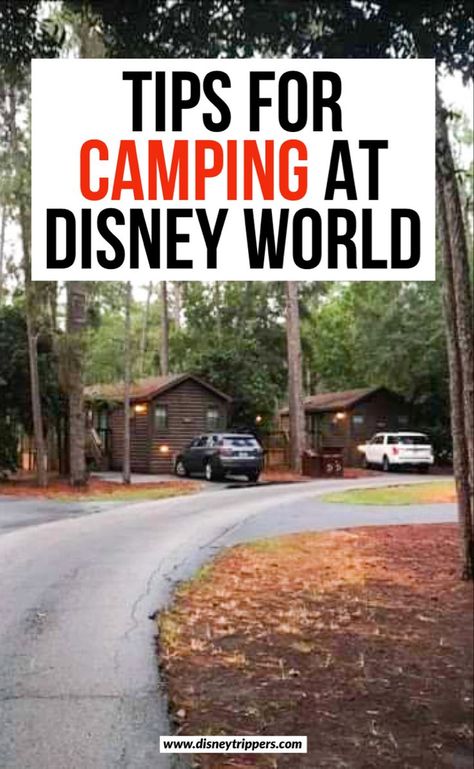 Camping At Disney, Disney Fort Wilderness Campground, Disney Fort Wilderness, Fort Wilderness Campground, Fort Wilderness Cabins, Disney Fort Wilderness Resort, Fort Wilderness Disney, Disney Camping, How To Camp