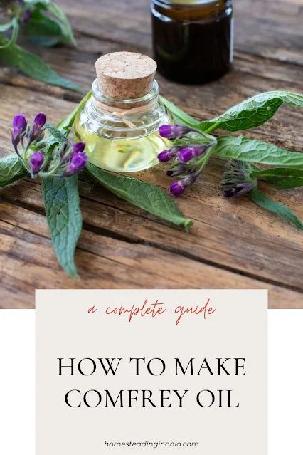 Discover the natural power of comfrey with this easy DIY recipe for comfrey-infused oil. Extract the healing properties of this herb by infusing it in a carrier oil, perfect for soothing skin irritations and promoting overall skin health. Try it out today! Comfrey Tincture, Homemade Skincare Products, Infused Oil Recipes, Comfrey Oil, Medicine Recipes, Herbal Vinegar, Homemade Skincare, Herbal Health, Functional Nutrition