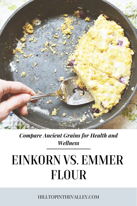 Comparing Einkorn and Emmer for health and wellness, we look at the nutrition in both flours as well as their composition. Einkorn is the only wheat never hybridized so how does emmer compare? Both of these contain high amounts or protein and are much easier to digest than modern wheat. Emmer Flour Recipes, Einkorn Flour, Wheat Recipes, Ancient Grains, Cooking Homemade, Flour Recipes, Homemade Sauce, Holistic Health, Natural Health