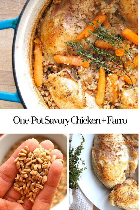 One Pot Savory Chicken and Farro. Healthy and SO easy...a weeknight must! Farro Crockpot Recipes, Crockpot Farro Recipes, Chicken Farro Soup, Chicken Farro Recipes, Meals With Farro, Chicken And Farro Recipes, Farro And Chicken Recipes, Recipes With Farro Healthy, Chicken Farro Bowl