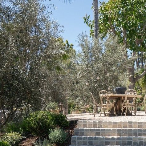 Garden Studio | Landscape Design & Build on Instagram: "The unique collaboration of antiqued cobblestone and gravel materials found within the step path at #gsdxranchosantafe was designed to usher visitors to embark on a seamless journey from the yard to elevated patio living spaces. ⁠ ⁠ We also chose to adorn its embracing hillside with California natives and strategically placed boulders to give this masterpiece a grand, yet organic allure. Every step looks to bear witness to the artistry of t Cobblestone Steps, Elevated Patio, Cobblestone Pavers, Paver Steps, Tropical Landscape Design, California Ranch, Tropical Landscape, Garden Steps, Garden Studio