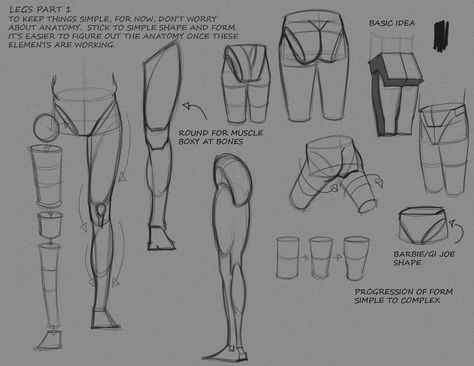 Leg Anatomy, Fantasy Angel, Drawing Legs, Character Design Cartoon, Illustration Fantasy, Anatomy Tutorial, Human Anatomy Drawing, Anatomy Sketches, Anatomy For Artists