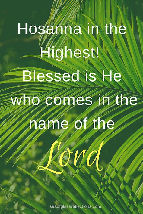 Moving at the Speed of Light - Jesus journey from Palm Sunday to the Cross. Our lives move fast, we need to learn to focus only on Him.  #palmsunday,  #easter, #lifehappens, #jesus #jesussaves #seaofglassfreflecitons Palm Sunday Quotes, Happy Palm Sunday, Hosanna In The Highest, Palm Sunday Crafts, Sunday Pictures, Speed Of Light, Sunday Quotes, Palm Sunday, Biblical Quotes