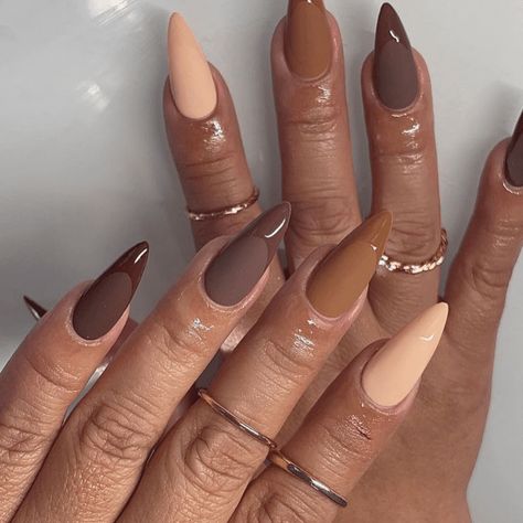 Safari Inspired Nails, Natural Fall Nail Colors, Matte Nails With Glossy Tips, Medium Stiletto Nails, Nail Ideas For Fall, Medium Stiletto, Fall Nail Ideas, Stylish Nails Designs, Dope Nail Designs