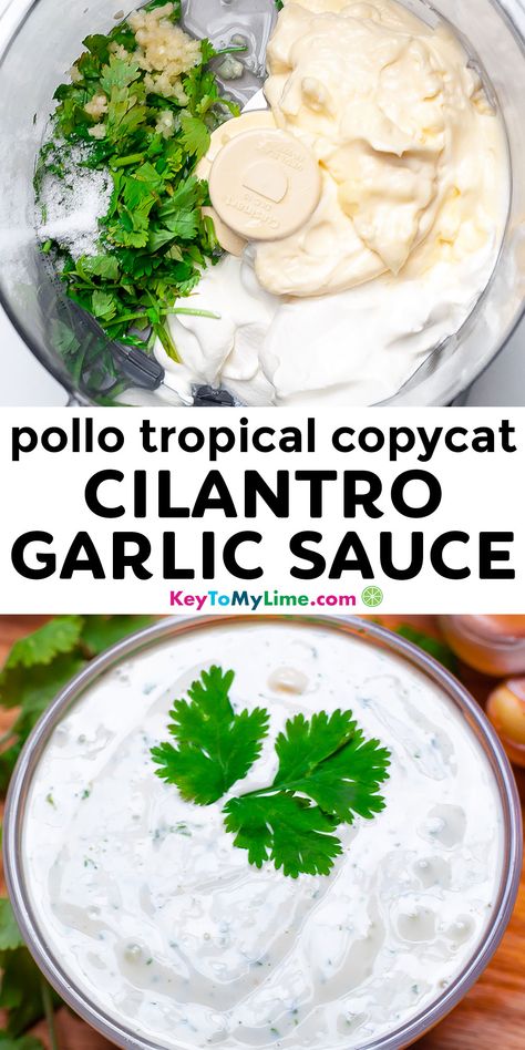 You need to try this 6-ingredient and 5-minute Pollo Tropical copycat cilantro lime sauce! It’s creamy, packed with flavor, so delicious, and is so incredibly easy to make. #Sauce #PolloTropical #Cilantro #Garlic #Copycat #CopycatRecipes KeyToMyLime.com Pollo Tropical Cilantro Garlic Sauce, Pollo Tropical, Cilantro Garlic Sauce, Keto Vegan, Pioneer School, Parmesan Sauce, International Food, Cilantro Lime, Homemade Sauce