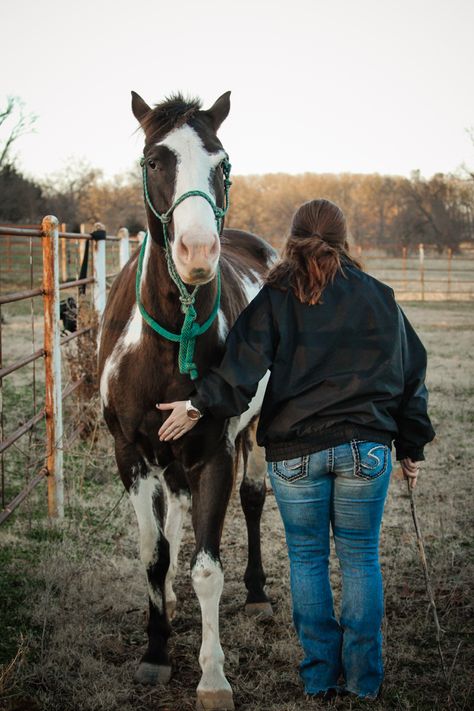 Horse Training Aesthetic, Horse Trainer Aesthetic, Horse Vet Aesthetic, Horse Job Aesthetic, Working With Horses Aesthetic, Horse In Pasture, Cowgirls Riding Horses, Cowgirls On Horses, Horse Trainer Gifts