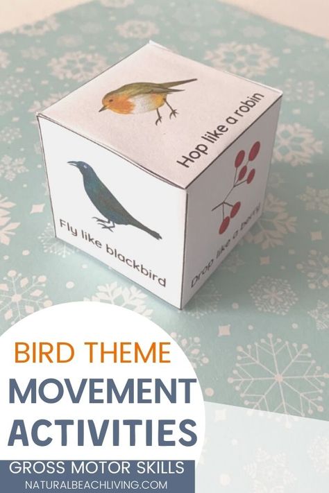 Montessori Winter Bird Activities - Natural Beach Living Bird Movement Activities, Birds Science Activities, Bird Homeschool Unit, What Do Birds Eat Preschool, Reggio Bird Activities, Birds Activities For Kindergarten, Montessori Bird Activities, Winter Bird Activities Preschool, Bird Gross Motor Activities