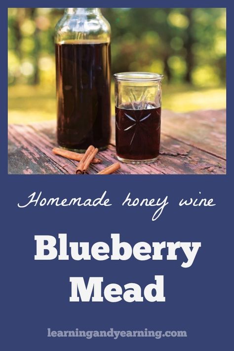 Blueberry Mead, Mead Wine Recipes, Homemade Mead, Making Mead, Mead Recipes, Mead Making, Making Alcohol, Pink Lemonade Blueberry, Honey Mead