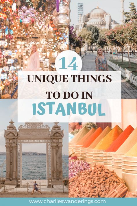 Top 14 Best Things To Do in Istanbul - A 3 Day Guide - Charlies Wanderings Things To Do In Istanbul, Istanbul Travel Guide, Turkey Travel Guide, Visit Istanbul, Istanbul Travel, Hagia Sophia, Turkey Travel, Istanbul Turkey, Design Layout