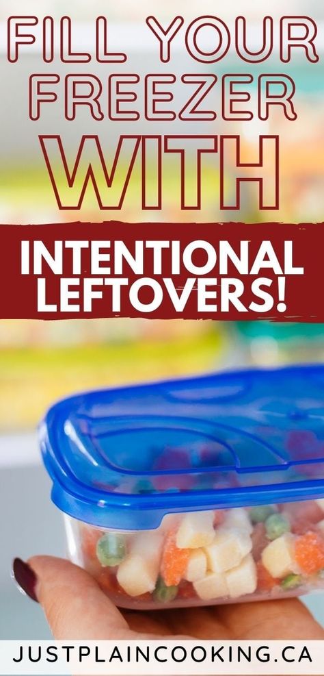 Intentional Leftover Recipes For Busy People Intentional Leftovers, Shredded Beef Burritos, Panko Breaded Chicken Breast, Panko Breaded Chicken, Fill Your Freezer, Salsa Chicken Crockpot, Mexican Shredded Beef, Freeze Pancakes, Easy Taco Soup