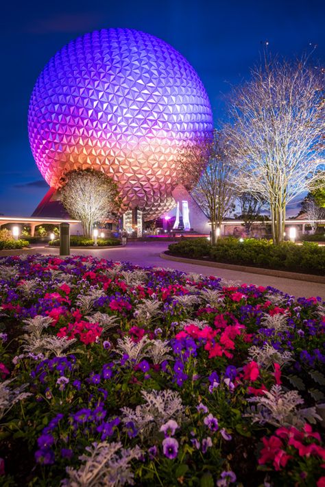 Epcot Itinerary, Cosmic Rewind, Disney World Aesthetic, Disney Parque, Disney Florida, Disney Tourist Blog, Disney World Tickets, Disney World Pictures, Disney Background