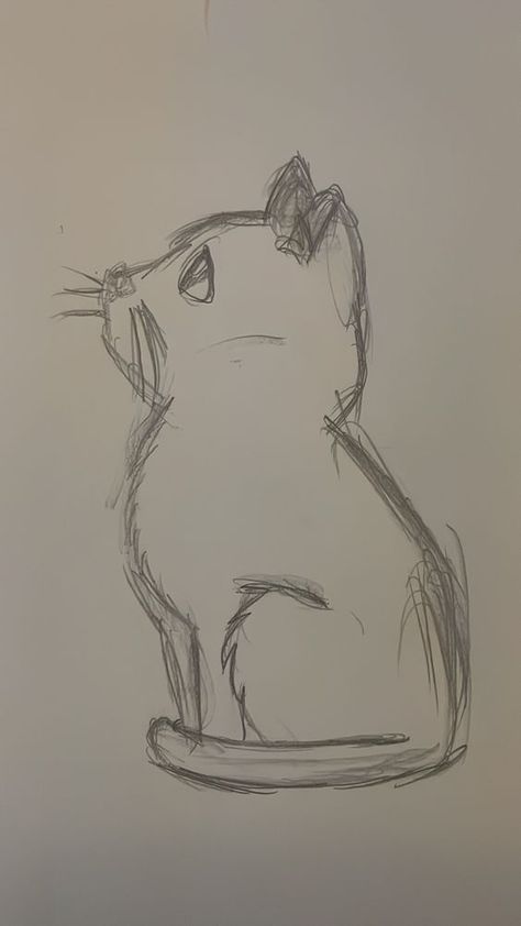 Drawing Of Cat, Fast Sketch, Easy Animal Drawings, Human Drawing, Cool Pencil Drawings, Meaningful Drawings, Easy Doodles Drawings, Disegni Artistici, Easy Drawings Sketches