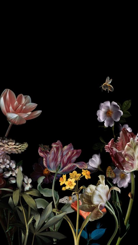 Fall Floral Aesthetic Wallpaper, Mexican Wallpaper Backgrounds, Different Wallpapers For Phone, Moody Lockscreen, High Pixel Wallpaper, Dark Floral Wallpaper Iphone, Dark Classy Aesthetic Wallpaper, Moody Wallpaper Iphone, Fone Wallpaper