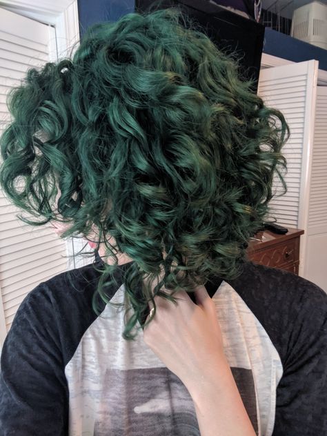 Green And Black Curly Hair, Dark Green Curly Hair, Green Curly Hair Natural Curls, Curly Green Hair, Dyed Curly Hair Green, Blue And Green Curly Hair, Green Curly Hair, Emerald Green Hair, Hair Streaks