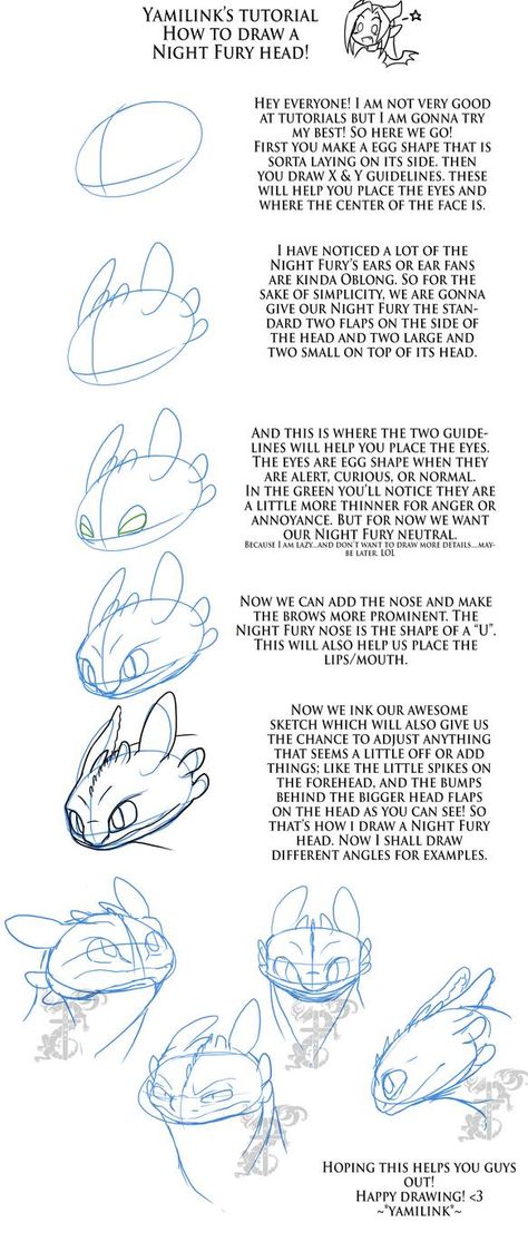 Night Fury Drawing Tutorial, How To Draw Night Fury, How To Draw Toothless Step By Step, Night Fury Anatomy, Toothless Anatomy, Night Fury Sketch, Night Fury Drawing, Httyd Drawings, How To Draw Toothless