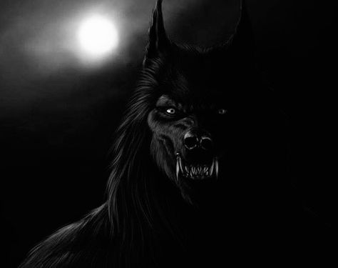 Werewolf Aesthetic Male Alpha, Black Werewolf Aesthetic, Werewolf Art Transformation, Werewolf Shadow, Werewolf Aesthetic Dark, Lycan Tattoo, Werewolf Icon, Werewolf Aesthetic Male, Black Wolf Aesthetic