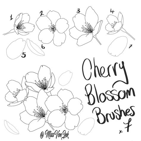 10 essential Cherry Blossom Procreate Brushes for beginners. Perfect for creating beautiful floral illustrations, these brushes are easy to use and will help you take your art to the next level. #procreate #cherryblossom #brushes . #Nature #Cherry_Blossom_Linocut #Cherry_Blossom_Procreate #Cherry_Blooms_Drawing Cherry Blossom Linocut, Cherry Blooms Drawing, Cherry Blossom Outline, Cherry Blossom Drawing, Cherry Blossom Wall Art, Cherry Blooms, Draw Flowers, Flower Drawing Tutorials, White Kimono