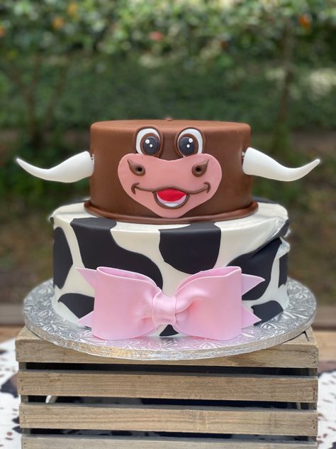 Cow bull cake gender reveal Bulls And Heifers Gender Reveal, Cow Themed Gender Reveal Cake, Gender Reveal Ideas For Party Cow Theme, Heifer Or Bull Gender Reveal Ideas, Bull Cake, Gender Reveal Cow Theme, Cow Print Gender Reveal Ideas, Cow Gender Reveal, Bull Or Heifer Gender Reveal