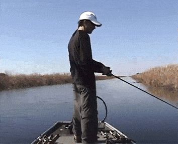 The Shirk Report – Volume 386 «TwistedSifter Bass Fishing Boats, Steak Sauce, Closer To Nature, Best Funny Videos, Bass Fishing, Video Clips, You Funny, Man Humor, Bones Funny