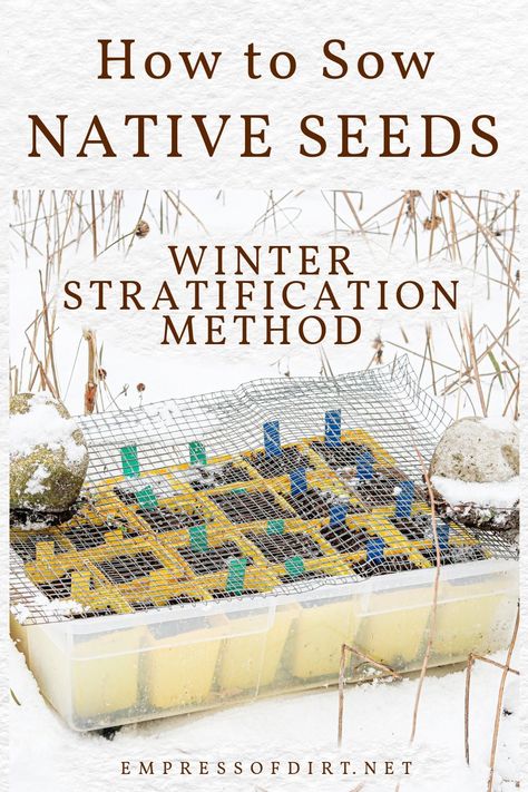 How to Sow Hardy Seeds Outdoors in Pots (Easy Winter Method) Winter Planting, Propagation Tips, Cold Climate Gardening, Winter Sowing, Grow Garden, Winter Gardening, Planting Calendar, Annual Garden, Cedar City