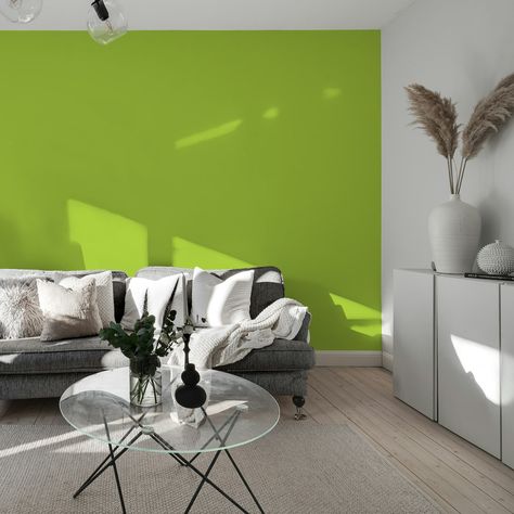 Solid Color Lime Green Wallpaper Lime Green Wall, Lime Green Wallpaper, Lime Green Walls, Our Values, Green Wallpaper, Green Wall, Lime Green, Solid Color, Green