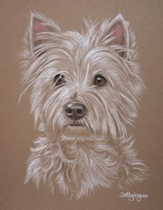 Dog Portraits by Sally Logue UK and her Customers Comments Tatoo Dog, Dog Portraits Painting, Highland Terrier, 강아지 그림, Westie Dogs, White Dog, West Highland Terrier, Brown Background, Color Pencil Art