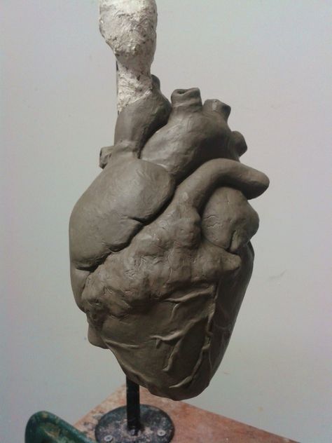 anatomical heart clay sculpture 3d Heart Sculpture, Clay Heart Realistic, Realistic Heart Sculpture, Ceramic Rattle Ideas, Clay Organs, Heart Clay Sculpture, Organ Sculpture, Realistic Ceramics, Clay Art Heart