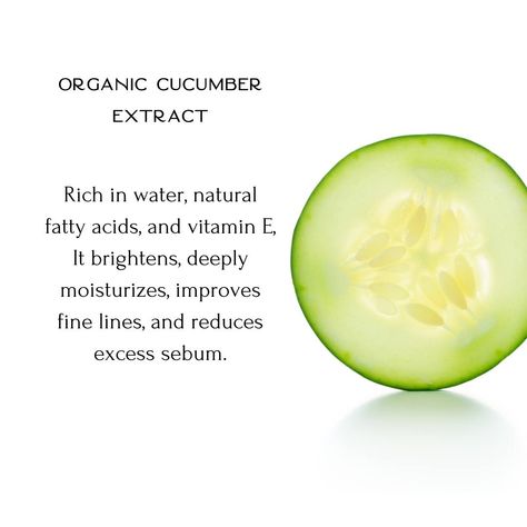 This extract is a key active ingredient in our Exfoliator Cleansing Gel. It is rich in water, natural fatty acids, and vitamin E, organic cucumber extract is a powerful natural remedy for skin beauty. It deeply moisturizes, brightens, and soothes the skin. Dilated Pores, Hyaluronic Acid Cream, Skin Exfoliating, Pore Minimizer, Daily Sunscreen, Clear Complexion, Clearer Skin, Exfoliate Face, Minimize Pores