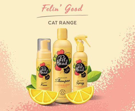 Cat shampoo, cat spray and cat foam shampoo, all part of the Pet Head Cat grooming range here at Elliots. Shop for yours today Lemon Seeds, Cat Shampoo, Strawberry Seed, Cat Spray, Nourishing Shampoo, Vegetable Protein, Spray Foam, Safflower Oil, Strawberry Lemonade