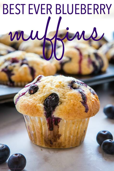 These Best Ever Blueberry Muffins are the perfect sweet treat for breakfast, brunch or snack. Make this recipe for moist, tender muffins full of fresh juicy blueberries! Recipe from thebusybaker.ca! #bloueberries #muffins #blueberrymuffins #muffinsrecipe #besteverblueberrymuffins Moist Blueberry Muffins, The Best Blueberry Muffins, Blueberry Muffin Recipe Easy, Blueberry Muffin Recipe, Recipes Disney, Best Blueberry Muffins, Berry Muffins, Simple Muffin Recipe, Muffin Recipes Blueberry