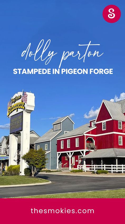 What To Expect at the Dolly Parton Stampede in Pigeon Forge Dolly Parton Stampede, Dixie Stampede, Tennessee Road Trip, Southern Travel, Pigeon Forge Tennessee, Pigeon Forge Tn, Tennessee Vacation, Thanksgiving Family, Course Meal