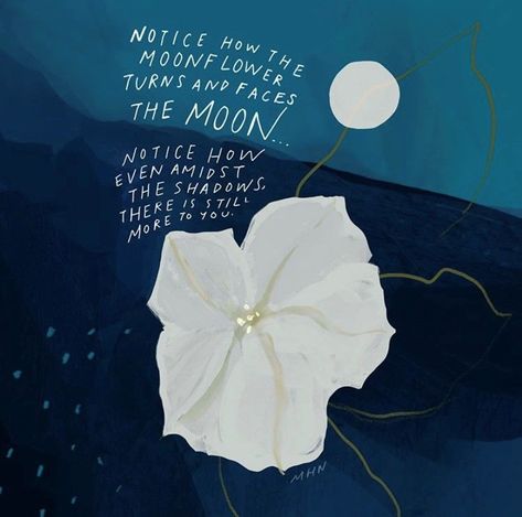 "Notice how the moonflower turns and faces the moon... notice how even amidst the shadows, there is still more to you." ~ Morgan Harper Nichols 🌝 🌸 @morganharpernichols Brianna Wiest, Healing Message, Childrens Poems, Moon Quotes, Bts Jungkook Birthday, Flower Meanings, Find Quotes, Morgan Harper Nichols, Night Garden