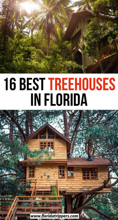 Skip the hotels and stay at one of the gorgeous treehouses in Florida! Relax, find your bliss, and unwind in the great outdoors! Unique Places In Florida, Florida Weekend Getaways, Florida Airbnb, Florida Vacation Spots, Florida Attractions, Travel Florida, Adventure Ideas, Trip Destinations, Places In Florida