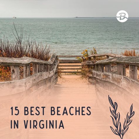 Beaches In Virginia, Sandbridge Beach Va, Sandbridge Beach Virginia, Virginia Beach Vacation, Ocean Views Beach, Chesapeake Beach, Sandbridge Beach, Clear Beaches, Best Beaches To Visit