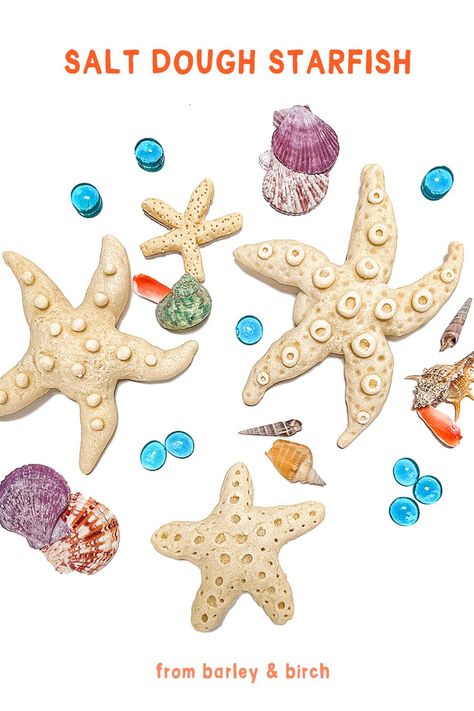 Form and sculpt our favorite recipe for simple salt dough into beautifully textured handmade salt dough sea stars! A lovely invitation for kids to observe and recreate these curious and captivating marine invertebrates. | from barley & birch No Salt Playdough, Salt Dough Coral Reef, Under The Sea Playdough, Salt Dough Maps For Kids, Salt Dough Fossils, Summer Camp Art, Salt Dough Crafts, Summer Arts And Crafts, Homemade Playdough