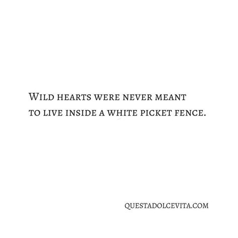 Wild Girl Quotes, Wild Spirit Quotes, Wild Child Quotes, Wild Women Quotes, Wild Quotes, Child Quotes, Western Quotes, Wanderlust Quotes, Free Spirit Quotes