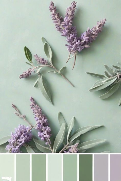 Top 5 Palettes SW colors with Sage Green and Lilac for your room - Lorena Cozy Home - CREATING COZY SPACES FOR YOU. Sage Green Purple Color Palette, Color Schemes With Lavender, Sage And Purple Nursery, Sage Green And Lavender Bedroom Aesthetic, Sage Green And Lavender Bedroom Ideas, Sage And Lavender Bathroom, Sage And Lilac Nursery, Sage Green And Lavender Bedroom, Sage Green Accent Colors