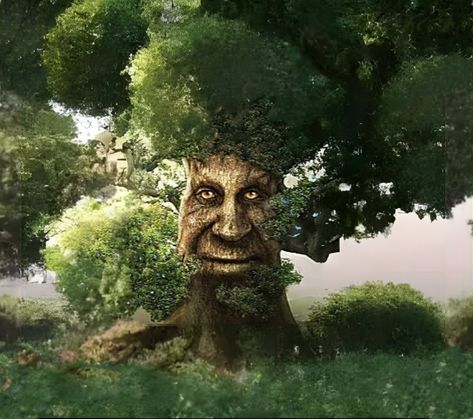 Wise Mystical Tree, Jon Bovi, Wise Tree, Silly Pfp, Tree Images, Call Saul, Memes, Funny, Anime