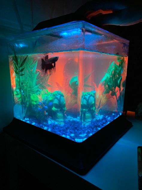 fish tank led lights Led Fish Tank, Neon Fish Tank, Fish Tank Aesthetic, Tank Terrarium, Twisted Ankle, Fish Tank Themes, Fish Tank Terrarium, Y2k Room, Fish Lamp