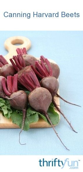 Harvard Beets Canning Recipe, Harvard Beets Recipe Canned, Harvard Beets, Water Bath Cooking, Cooking Pumpkin Seeds, Canning Beets, Pickled Beets Recipe, Best Cooking Oil, Beet Recipes