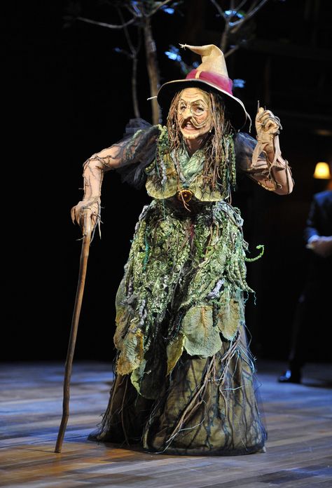 The Witch Into The Woods, Into The Woods Witch, Woods Witch, Into The Woods Musical, Sally Bowles, Stage Costume Design, Troll Costume, Fairy Tale Costumes, Broadway Costumes