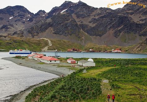 British Research Station at King Edward Point, on South Georgia island in the South Atlantic (with Grytviken, a former Whaling Station, in the background). South Georgia Island, Research Station, Visit Georgia, South American Countries, King Edward, South Georgia, Island Map, Florida Georgia, Boat Trips