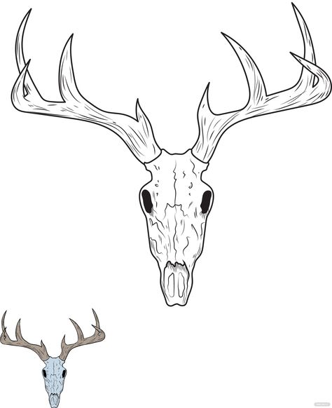 Deer Skull Outline, Deer Skull Drawing, Skull Outline, Deer Coloring Pages, Skull Coloring, Family Coloring Pages, Skull Coloring Pages, Monster Coloring Pages, Buck Deer