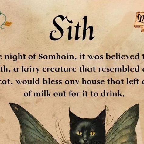 Scottish Folklore, Celtic Festival, Irish Mythology, W.i.t.c.h Aesthetic, Samhain Halloween, The Sith, Celtic Mythology, Cat S, Large Cats