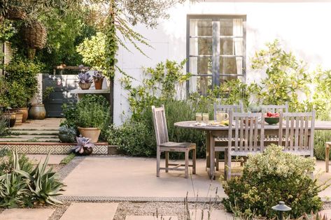 Laurel Hedge, Espalier Fruit Trees, California Home Design, Mediterranean Plants, Dry Garden, Landscaping Tips, Natural Landscape, California Homes, Outdoor Rooms