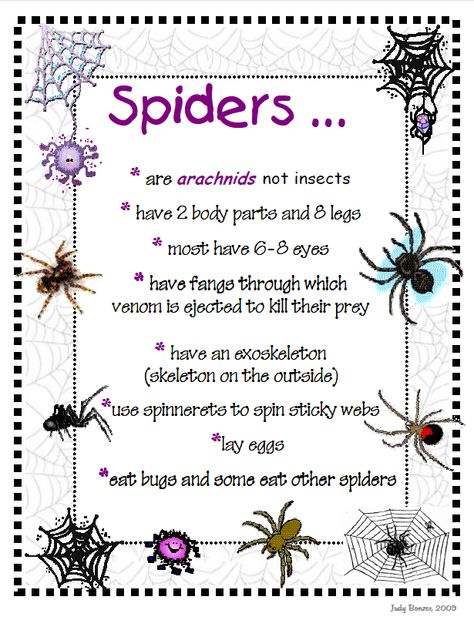 jbonzer.com - printable Spider Facts For Kids, Spider Facts, Science Fair Ideas, Spider Poster, Spider Fact, Teacher Printables, Counting Clip Cards, Montessori Teacher, Bugs Preschool