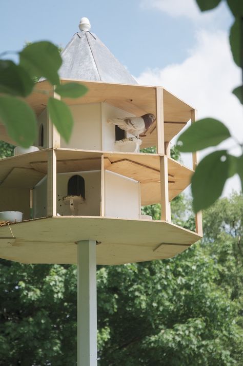 when we built our beautiful dove cote at Cotes Mill Bird House Inspiration, Pigeon House Ideas Diy, Dove Cote, Pigeon Cage, Dove House, Pigeon House, Wooden Bird Feeders, Bird Houses Ideas Diy, Garden Birdhouses