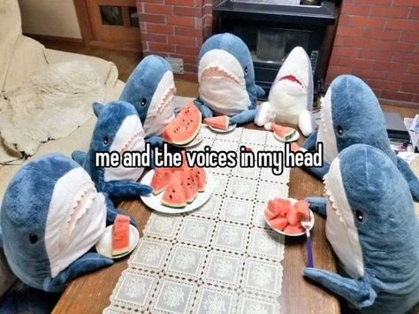 description #whisper #voicesinmyhead #fyp Shark Pictures, Shark Plush, Shark Art, Cute Shark, 웃긴 사진, Marine Biology, Silly Animals, Whale Shark, Cute Stuffed Animals