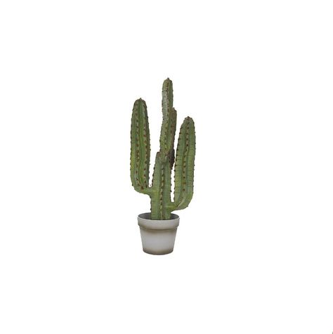 Cactus Icon, Object Oc, Fun Collage, Cactus Png, Png Aesthetic, Png Icons, Oc Ideas, Ios Icon, Graphic Elements