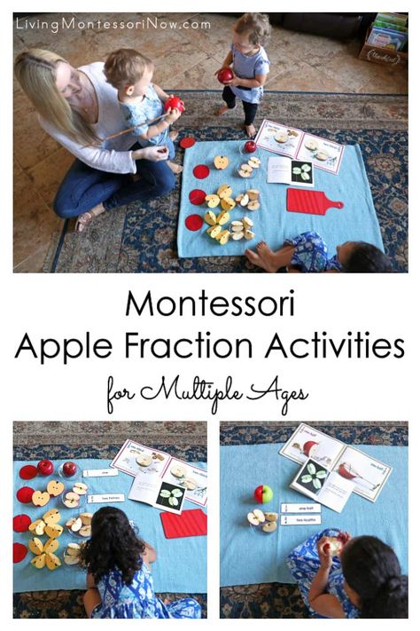 Montessori Apple Fraction Activities for Multiple Ages Preschool Fraction Activities, Montessori Fractions, Fraction Resources, Fractions For Kids, Montessori Homeschool Preschool, Montessori Lesson Plans, Introducing Fractions, Apple Unit Study, Division Math Games